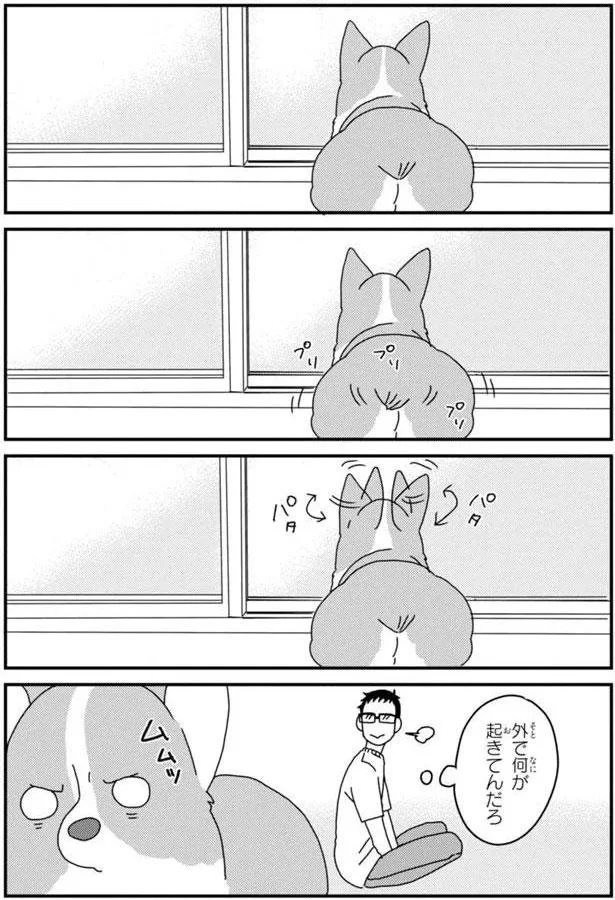 『あしょんでよッ〜うちの犬ログ〜5』より