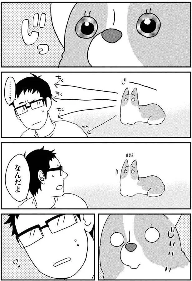 『あしょんでよッ〜うちの犬ログ〜5』より