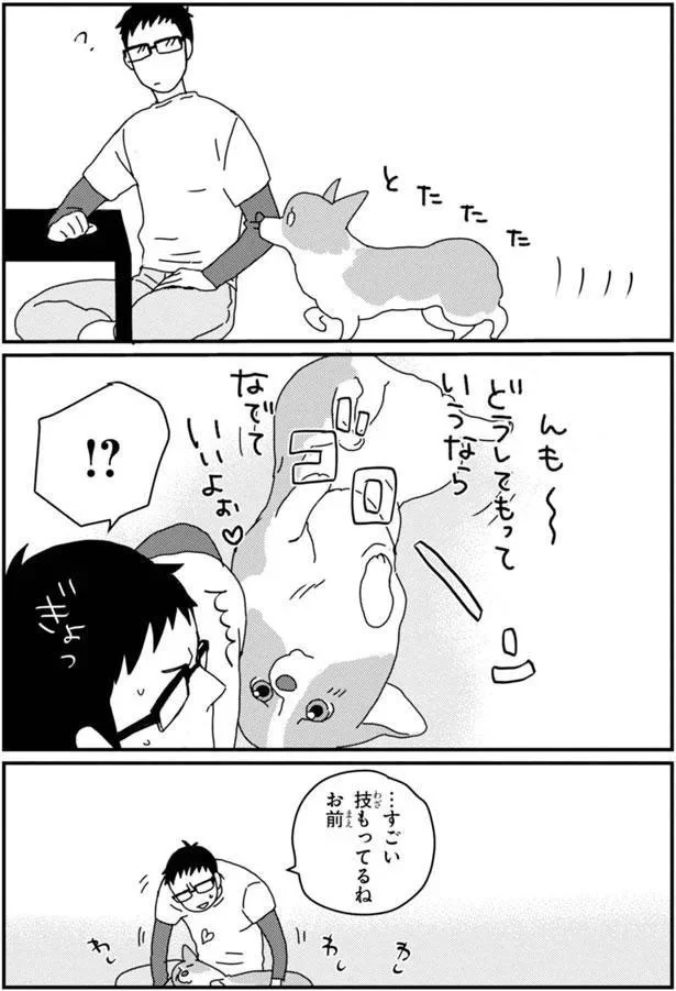 『あしょんでよッ〜うちの犬ログ〜5』より