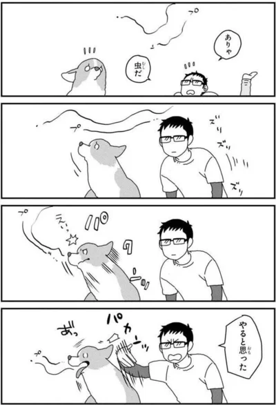 『あしょんでよッ〜うちの犬ログ〜5』より