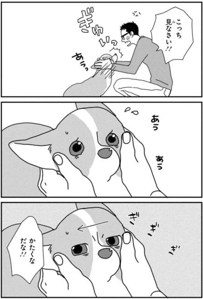 『あしょんでよッ〜うちの犬ログ〜5』より