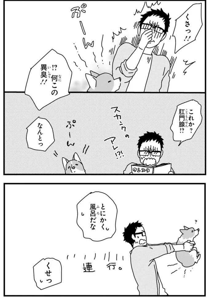 『あしょんでよッ〜うちの犬ログ〜2』より