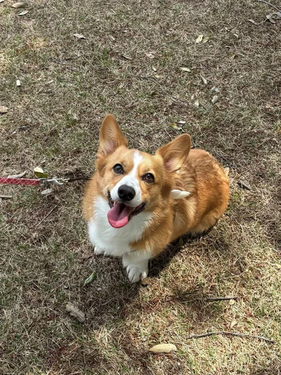 カメラ目線もバッチリなモデルさん♪▶上手に日向ぼっこ（⇒次へ）
