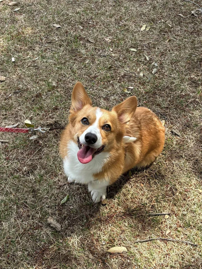 カメラ目線もバッチリなモデルさん♪▶上手に日向ぼっこ（⇒次へ）