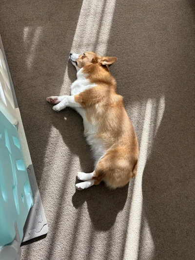 暖かい場所、よくわかってる！▶消防車と記念撮影！（⇒次へ）