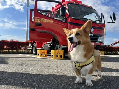 アニメみたい？かっこいいオハナちゃん▶ガーガーチキンが仕留められた…！（⇒次へ）