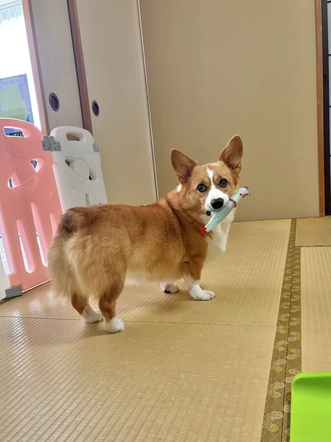 「ん？何か問題でも？」▶小さい前歯が並んだお口もかわいい！（⇒次へ）