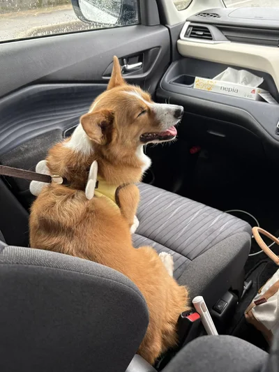 どこに行くのか、わくわく！▶入っちゃダメなお部屋で泥棒を…？（⇒次へ）