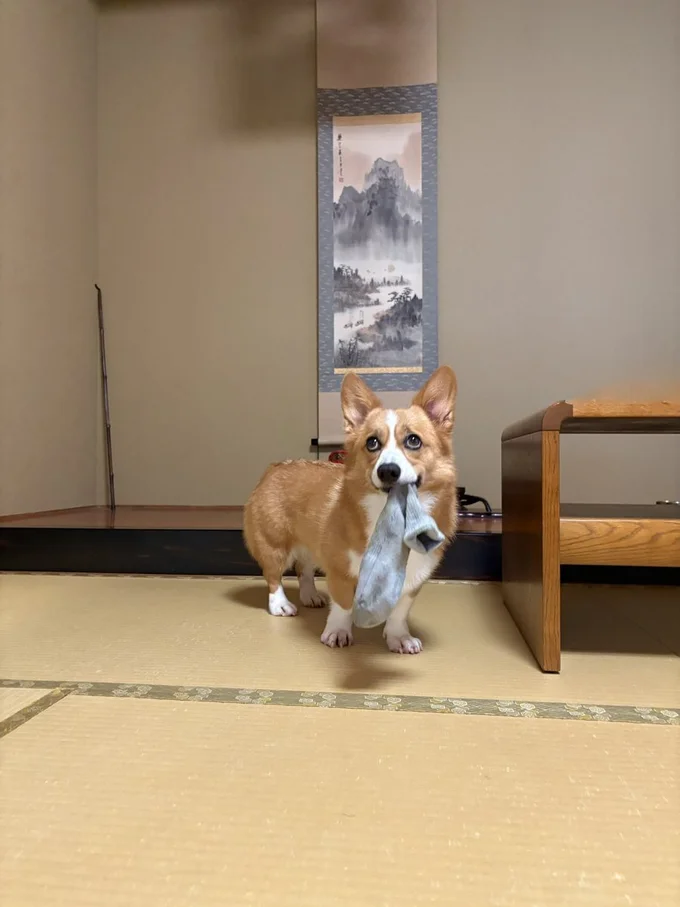 靴下泥棒、現行犯！▶自分の首を枕にしている？（⇒次へ）