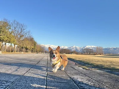 おでかけ、楽しいね♪▶お出かけだと思って車に乗ったけれど、到着したのは…