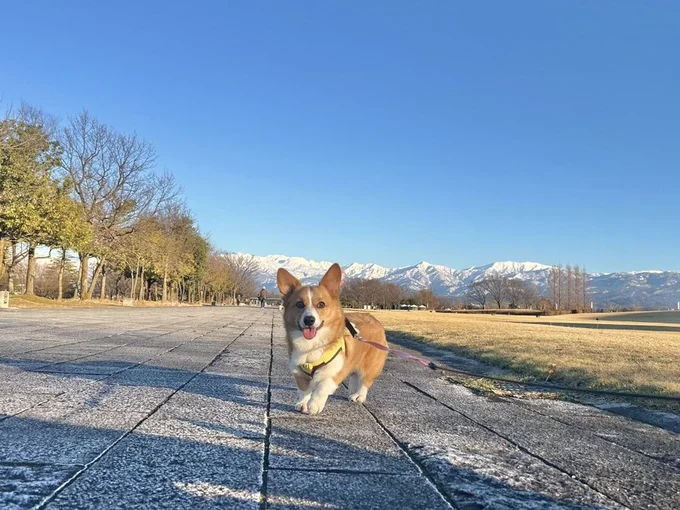 おでかけ、楽しいね♪▶お出かけだと思って車に乗ったけれど、到着したのは…