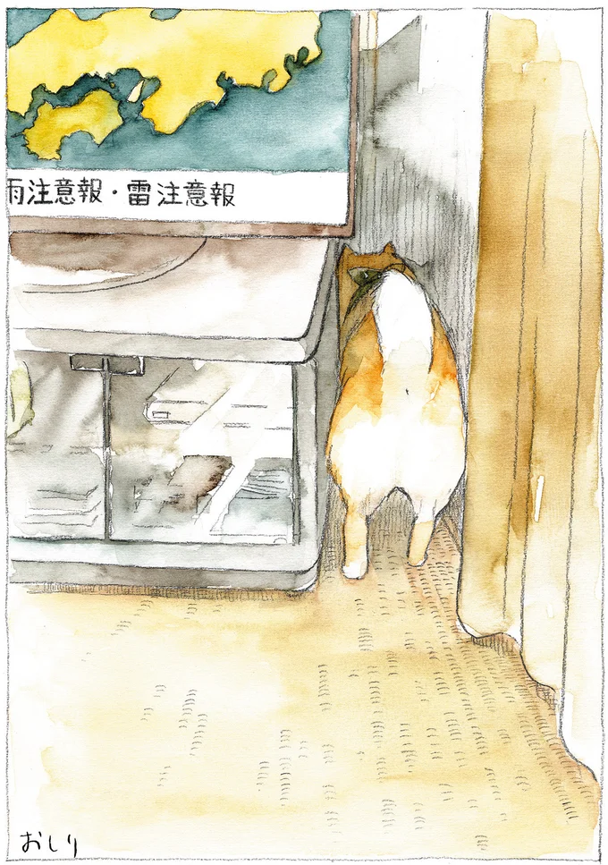 『柴犬ぽんちゃん、今日もわが道を行く』より