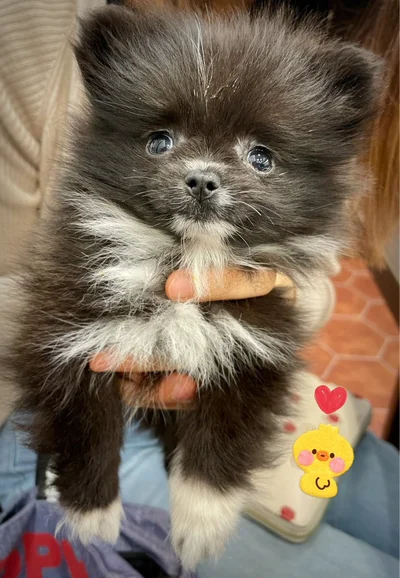 ぽわぽわです！いつ、どこを切り取っても可愛いなんて反則ですね！▶この頃はこの頃で（⇒次へ）