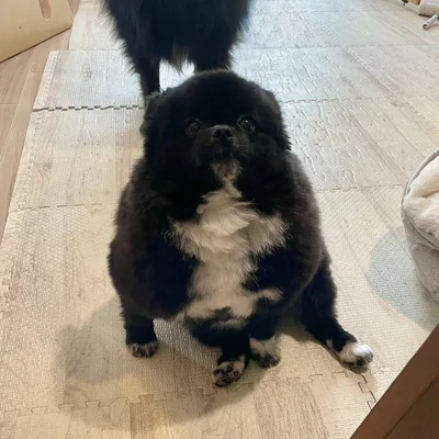 座り方がおじさんみたい！？▶成長するにつれて……（⇒次へ）