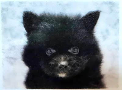 そのノアくんの2か月目ごろの様子がこちら▶そして成長すると……（⇒次へ）