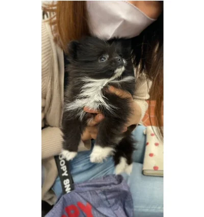 あどけない表情がたまりません！▶そんなくつしたちゃんですが（⇒次へ）