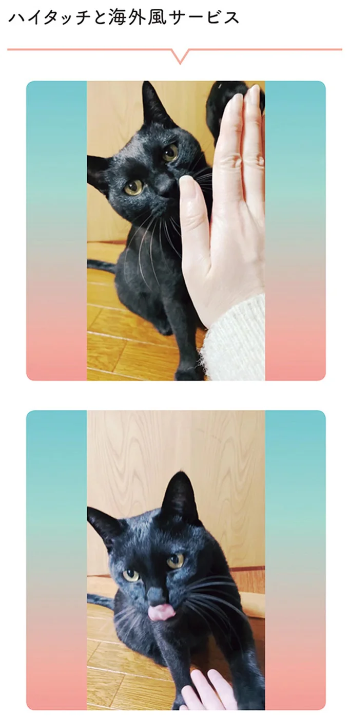 『黒猫ろんと暮らしたら4』より