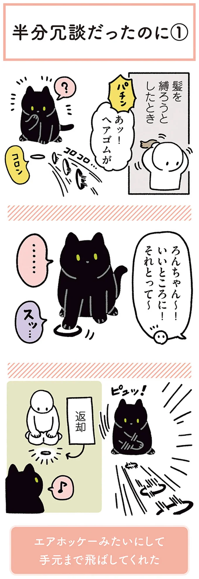 『黒猫ろんと暮らしたら4』より