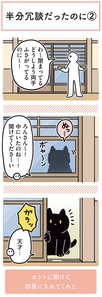 『黒猫ろんと暮らしたら4』より