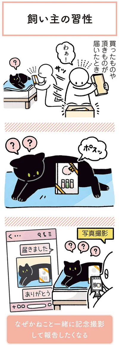 『黒猫ろんと暮らしたら4』より
