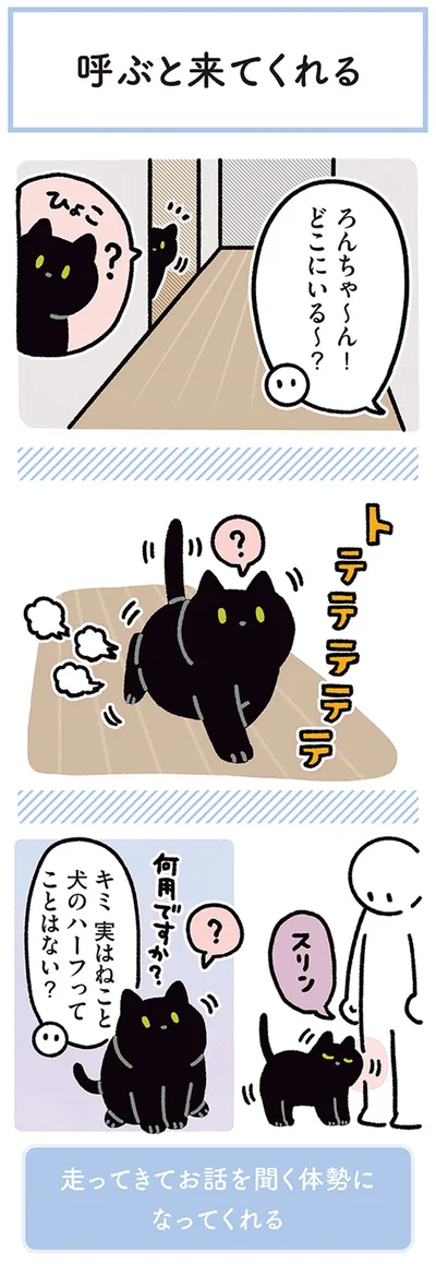 『黒猫ろんと暮らしたら4』より