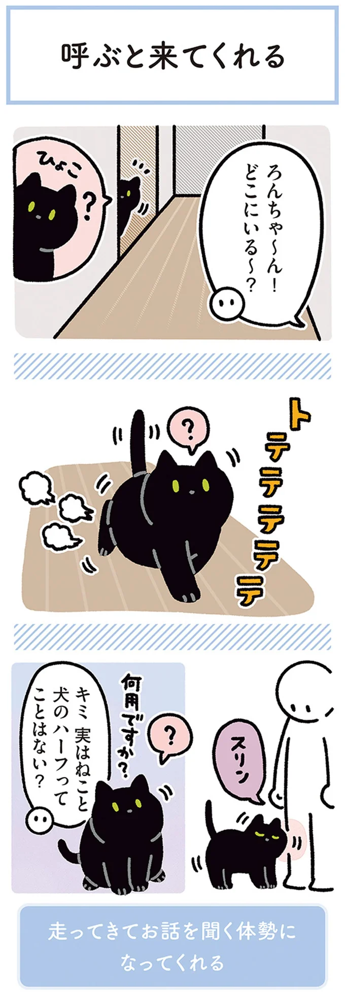 『黒猫ろんと暮らしたら4』より