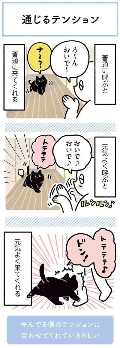 『黒猫ろんと暮らしたら4』より