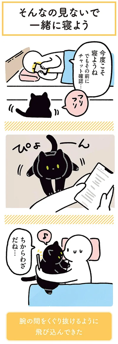 『黒猫ろんと暮らしたら4』より