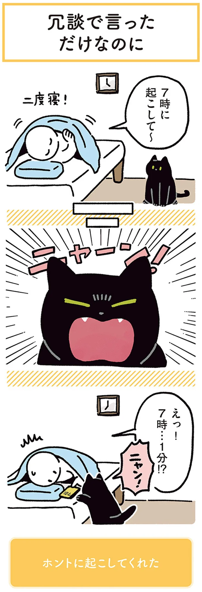 『黒猫ろんと暮らしたら4』より