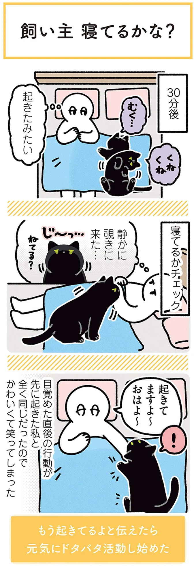 『黒猫ろんと暮らしたら4』より