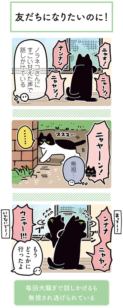 『黒猫ろんと暮らしたら4』より