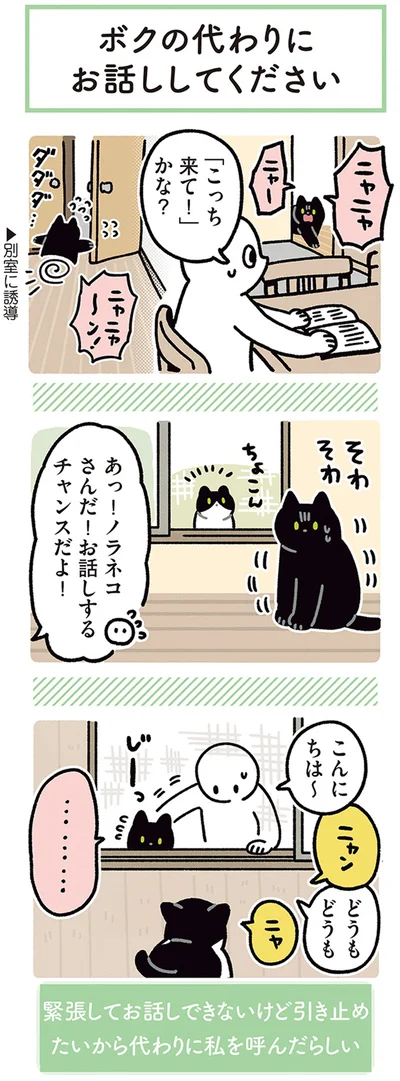 『黒猫ろんと暮らしたら4』より