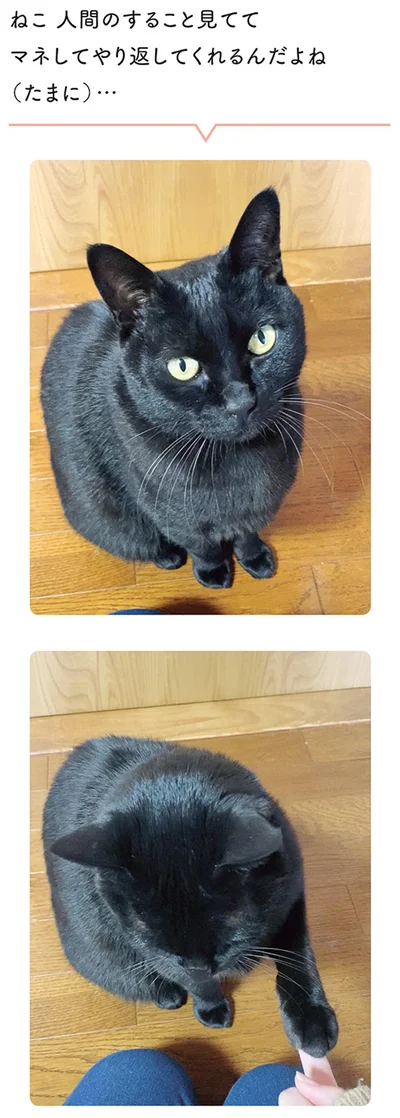 マネしてやり返してくれるんだよね（たまに）…