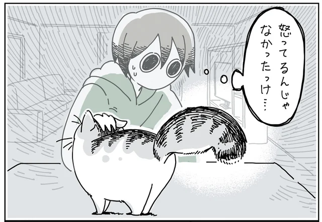 しっぽがぶわっ！ しっぽで分かる猫のお気持ち。いま愛猫は怒っているのかな？