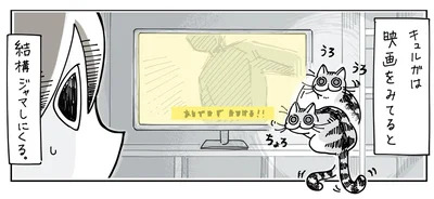 テレビ画面の前にやってきて…