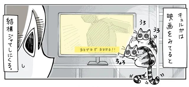 映画を見ていると邪魔してくる猫。なんとも愛らしくて注意する気にならない