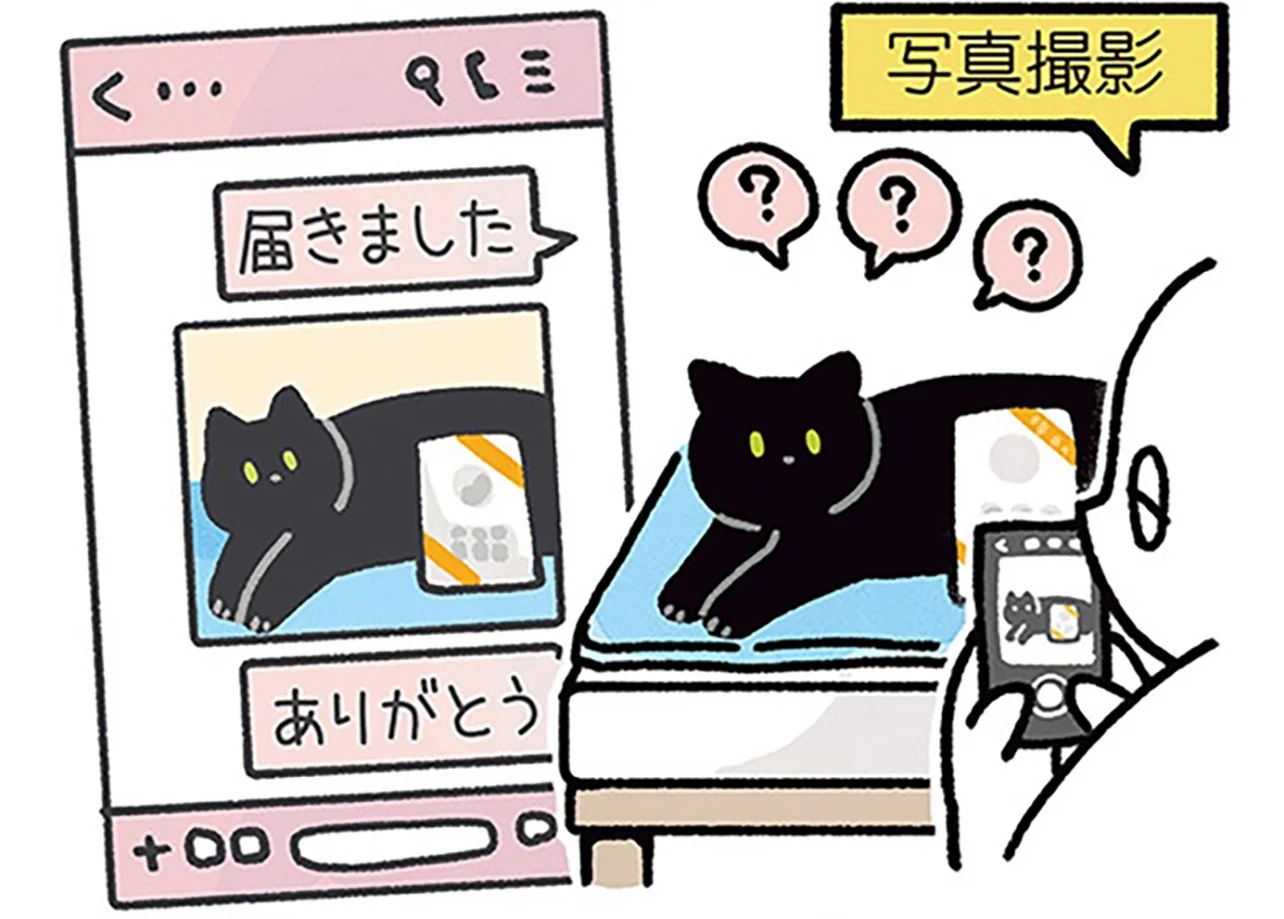 飼い主の習性？黒猫ろんと記念撮影をするタイミングとは - レタスクラブ
