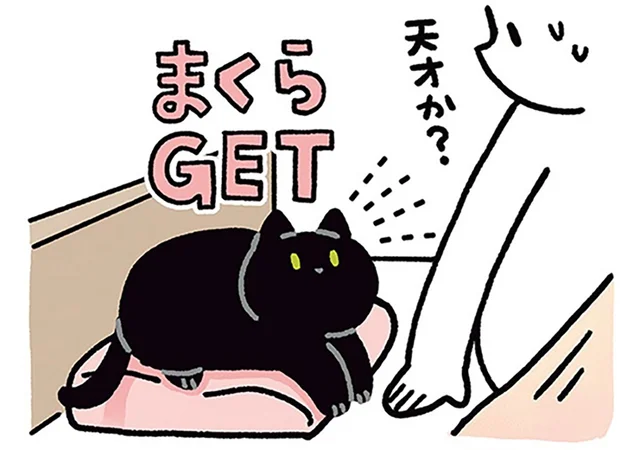 まくらGET！黒猫ろんの策略にまんまとハマる飼い主