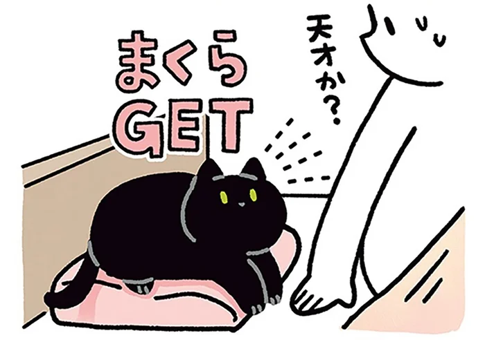 まくらGET！黒猫ろんの策略にまんまとハマる飼い主
