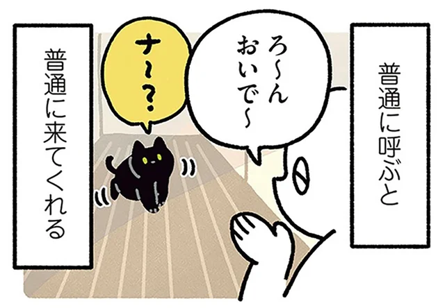 呼び方に応じて動きも変化！飼い主のテンションを読む黒猫ろん