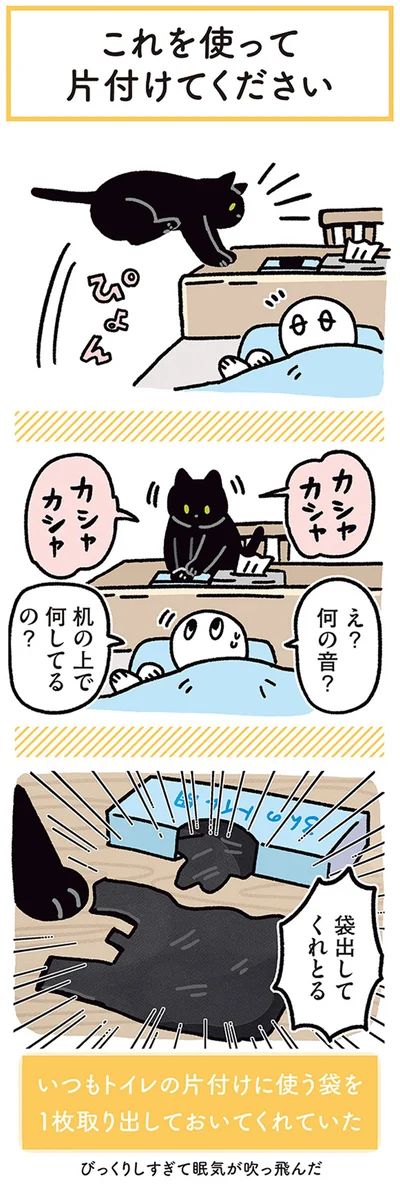 机の上で何してるの？