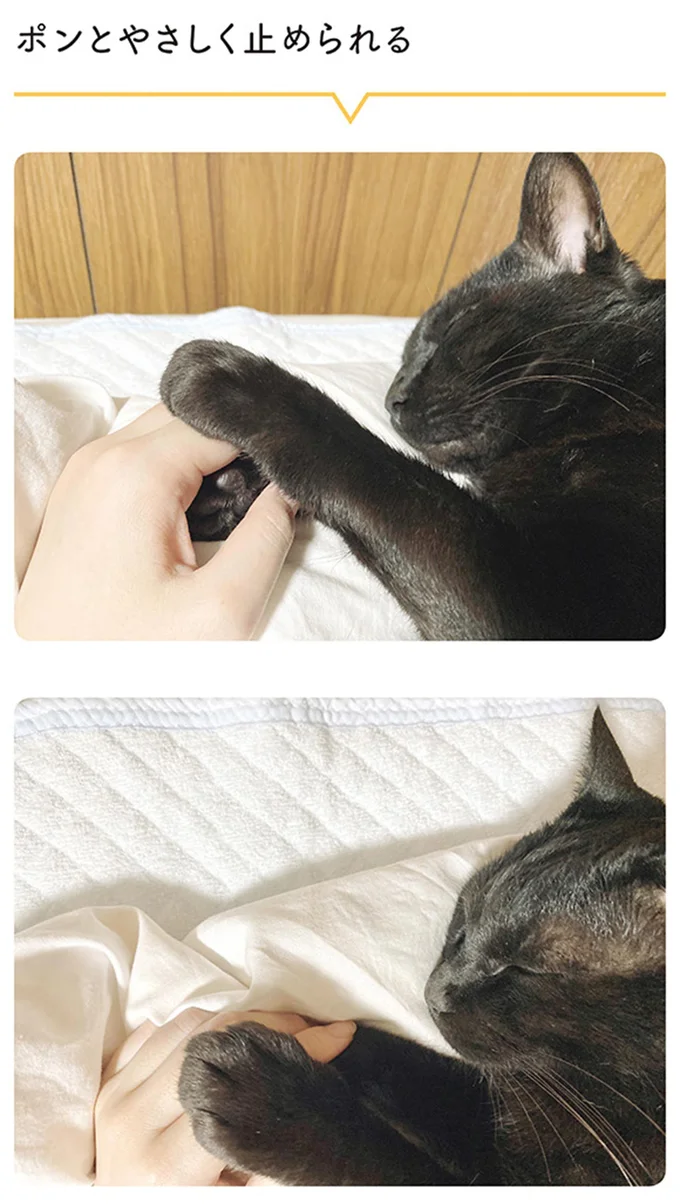 ポンとやさしく止められる