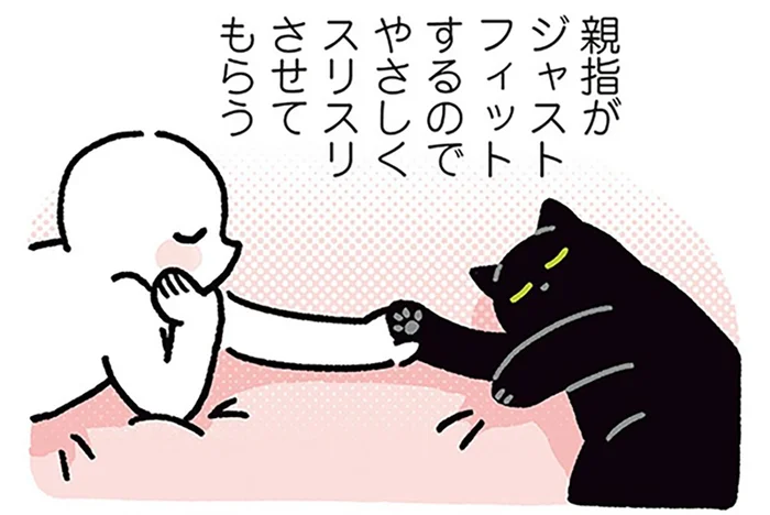触りすぎ注意？黒猫ろんがやさしくストップする飼い主のクセ
