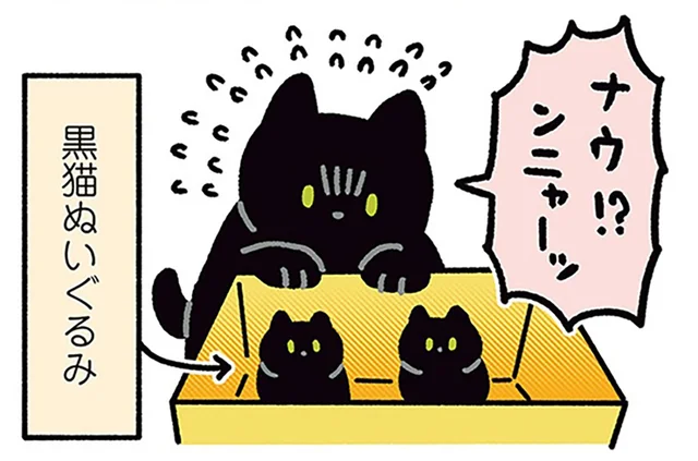 子猫かと思った!?黒猫ろんが必死で声をかけていた相手