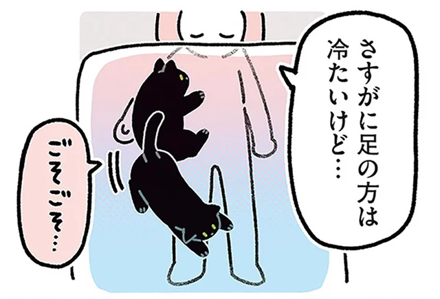 寒い日にありがたい！黒猫ろんとのほかほか就寝スタイル