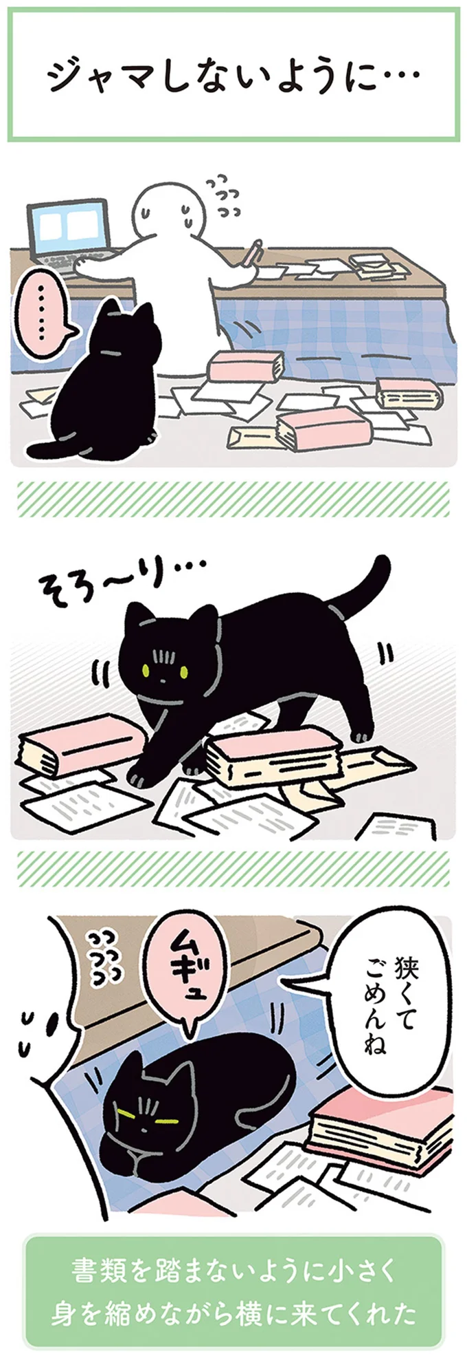 狭くてごめんね