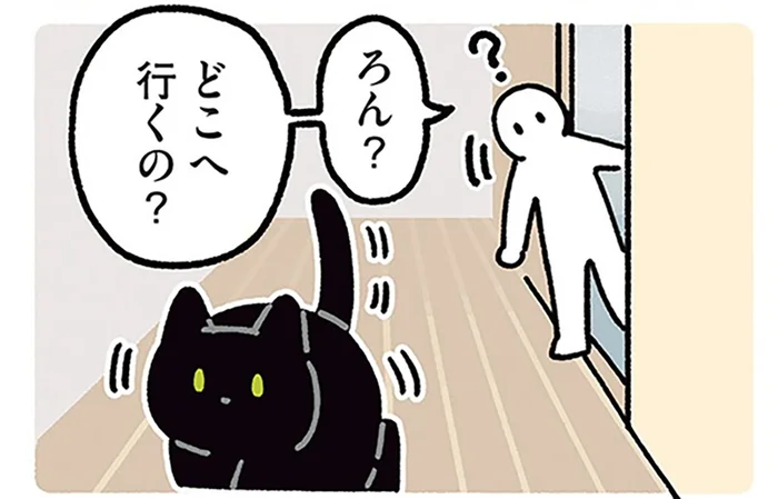 飼い主のピンチ到来。黒猫ろんがまさかの神対応で書類発見