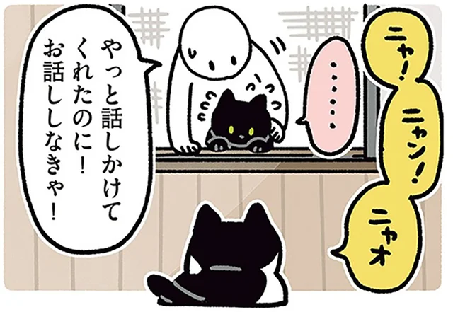 友だちになりたい。ノラネコさんとの初対面に緊張する黒猫ろん