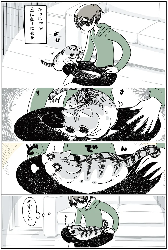 ネコが足に乗りに来た