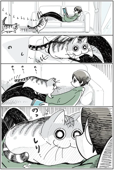 抜け毛の時期のネコ